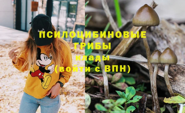 не бодяженный Алексин