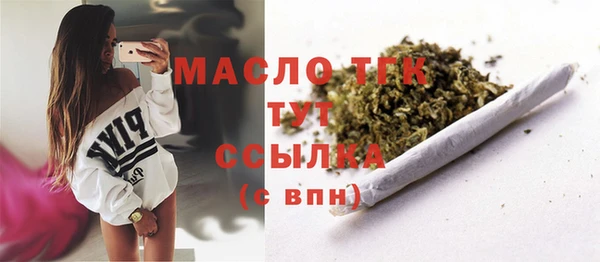 трава Няндома