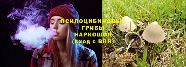 не бодяженный Алексин
