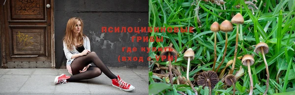 spice Алексеевка
