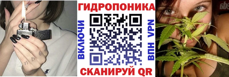 Бошки Шишки тримм  blacksprut ссылка  Саянск 